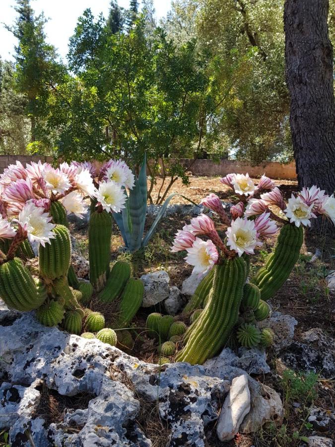 Bed and Breakfast Trulli Di Spinaruta Grottaglie Exterior foto