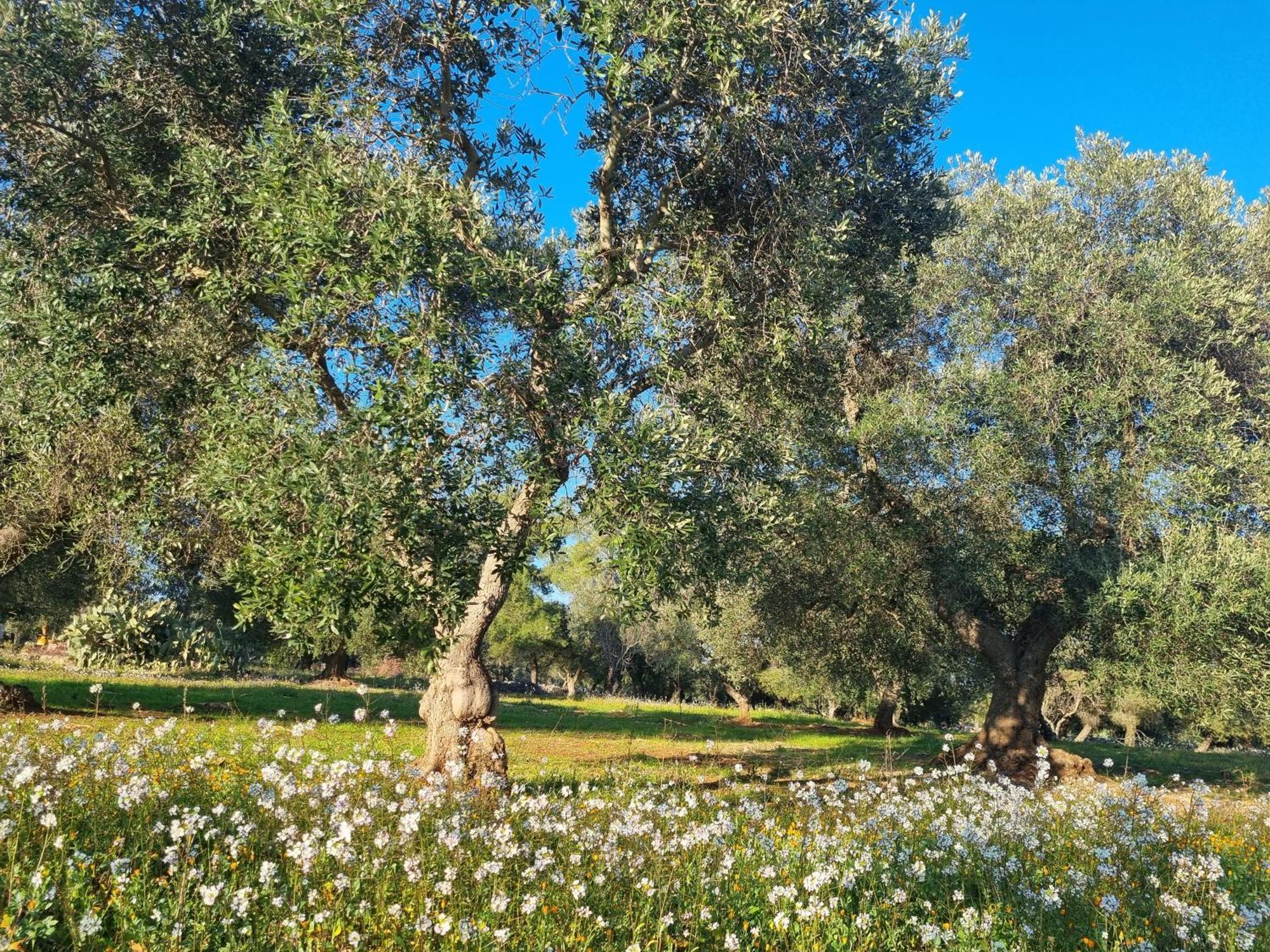 Bed and Breakfast Trulli Di Spinaruta Grottaglie Exterior foto